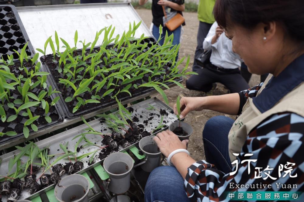 蔡培慧執行長出席國產第一台「可變行株距葉菜移植機」觀摩會，盼新農機技術之引進可望具體改善農民負擔及有效紓解蔬菜栽培缺工問題，共5張圖片