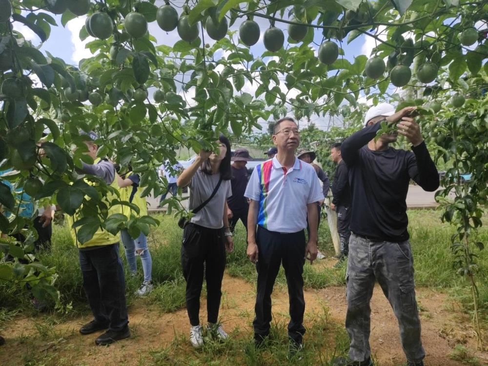 2026年6月24日陳錦倫執行長出席南投縣埔里鎮百香果農作物災損會勘，共2張圖片